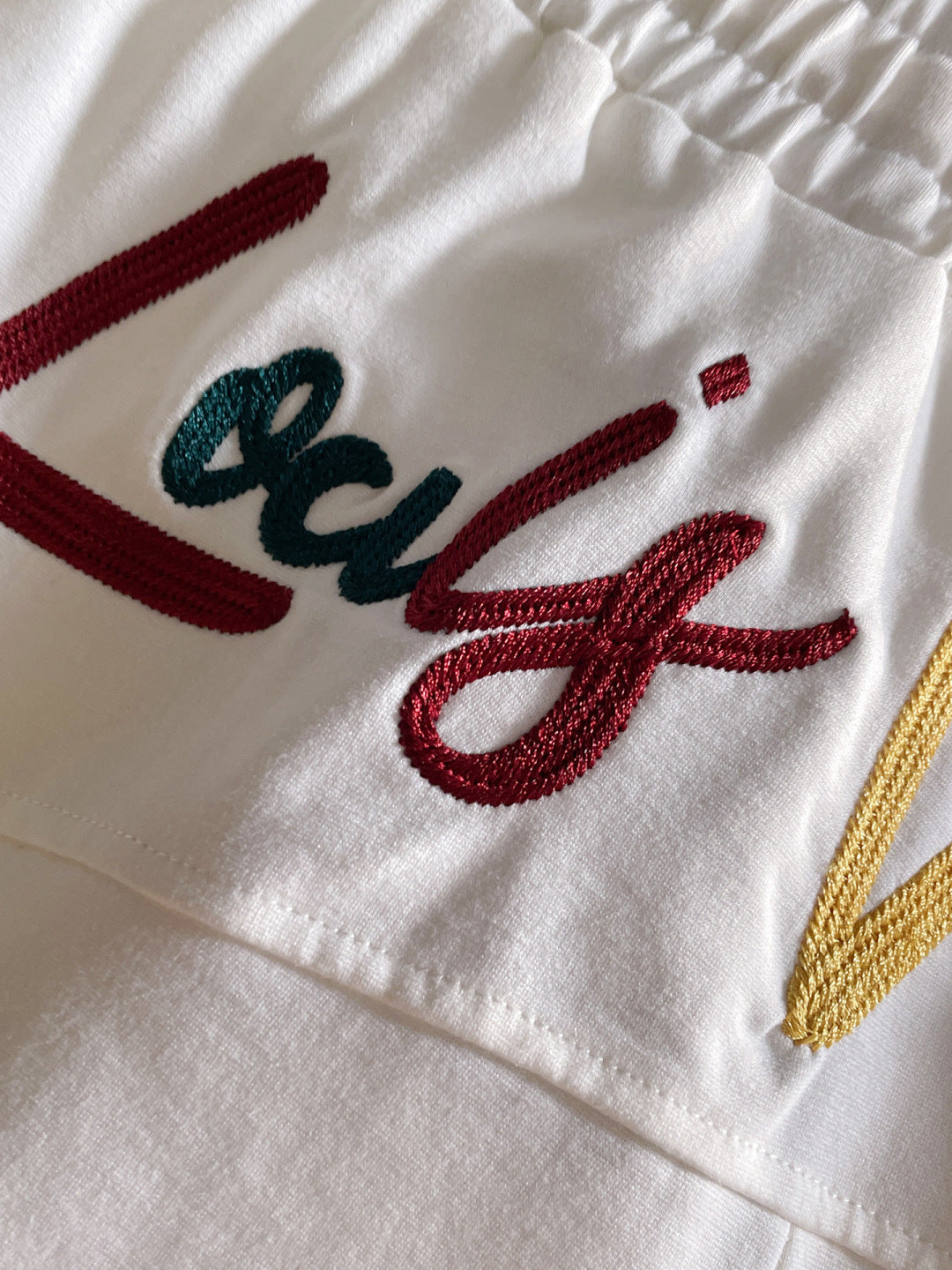 260317 New high-quality gradient embroidery shorts