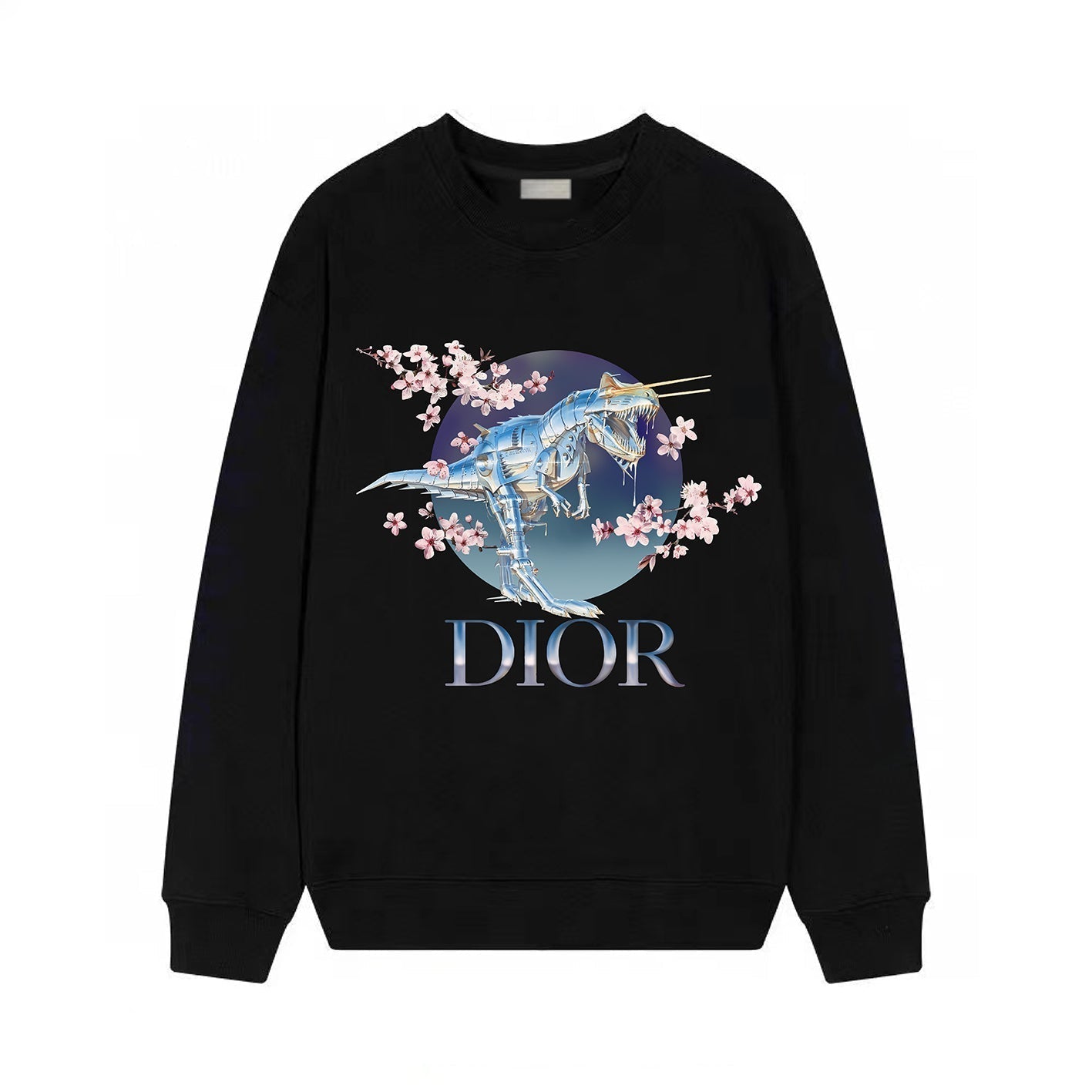 DINOSAUR Print Sweatshirt