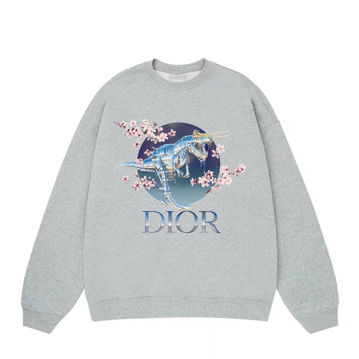 DINOSAUR Print Sweatshirt